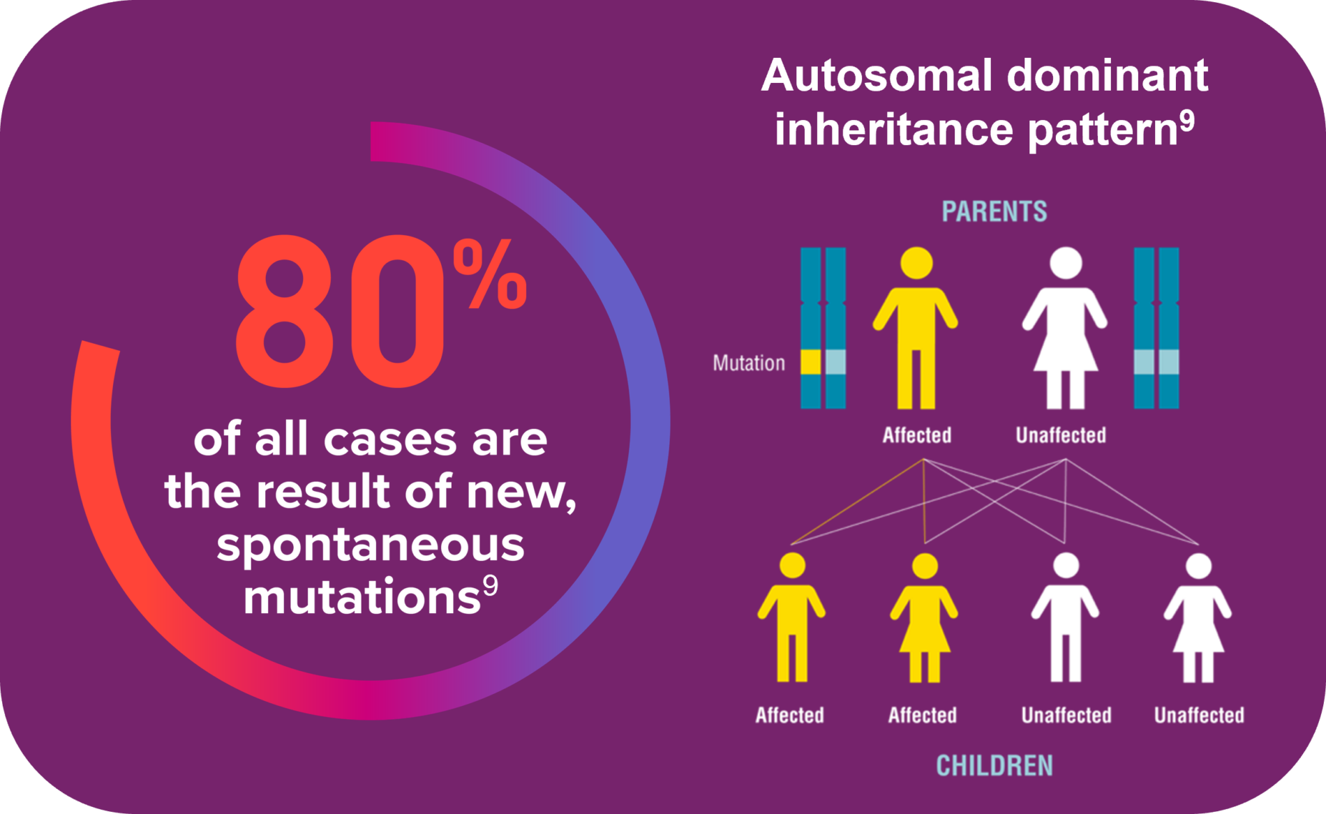 80% of all cases are the result of new, spontaneous mutations