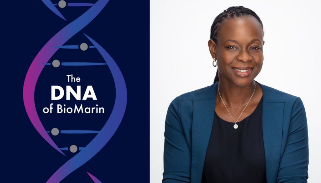 Chieze Ibeneche-Nnewihe