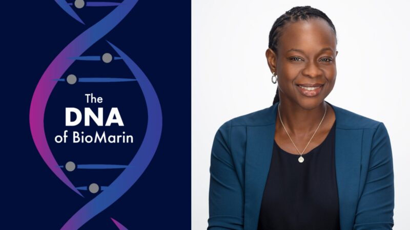 Chieze Ibeneche-Nnewihe