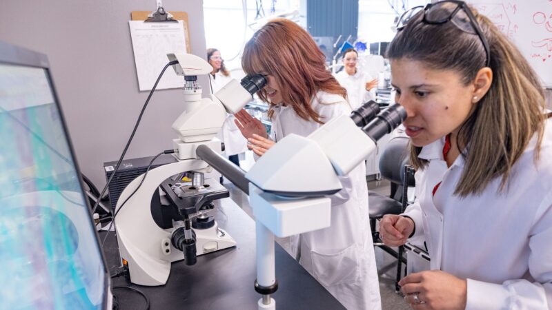 Allyson Chan Lab Tour
